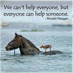 everyone-can-help-someone